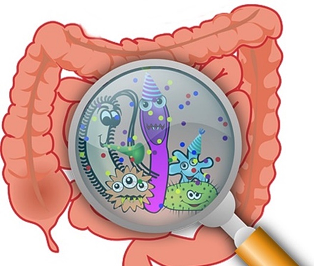 효소-때문에-생기는-생선냄새-증후군