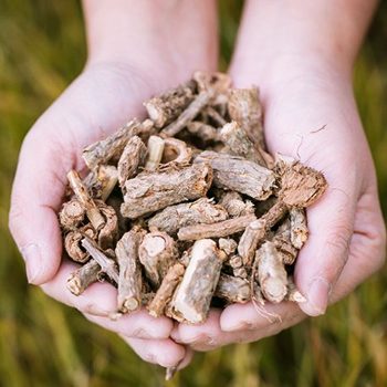 손바닥에있는-송담