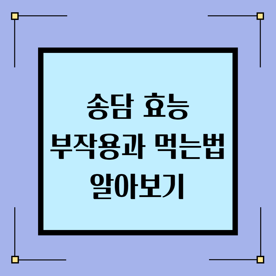 송담-블로그-썸네일
